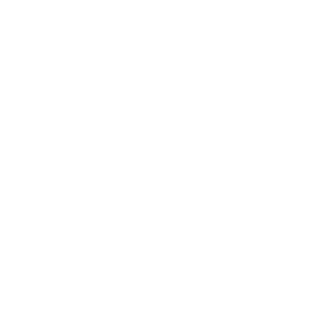 Bouygues Telecom