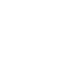 Salomon