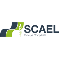 Logo SCAEL